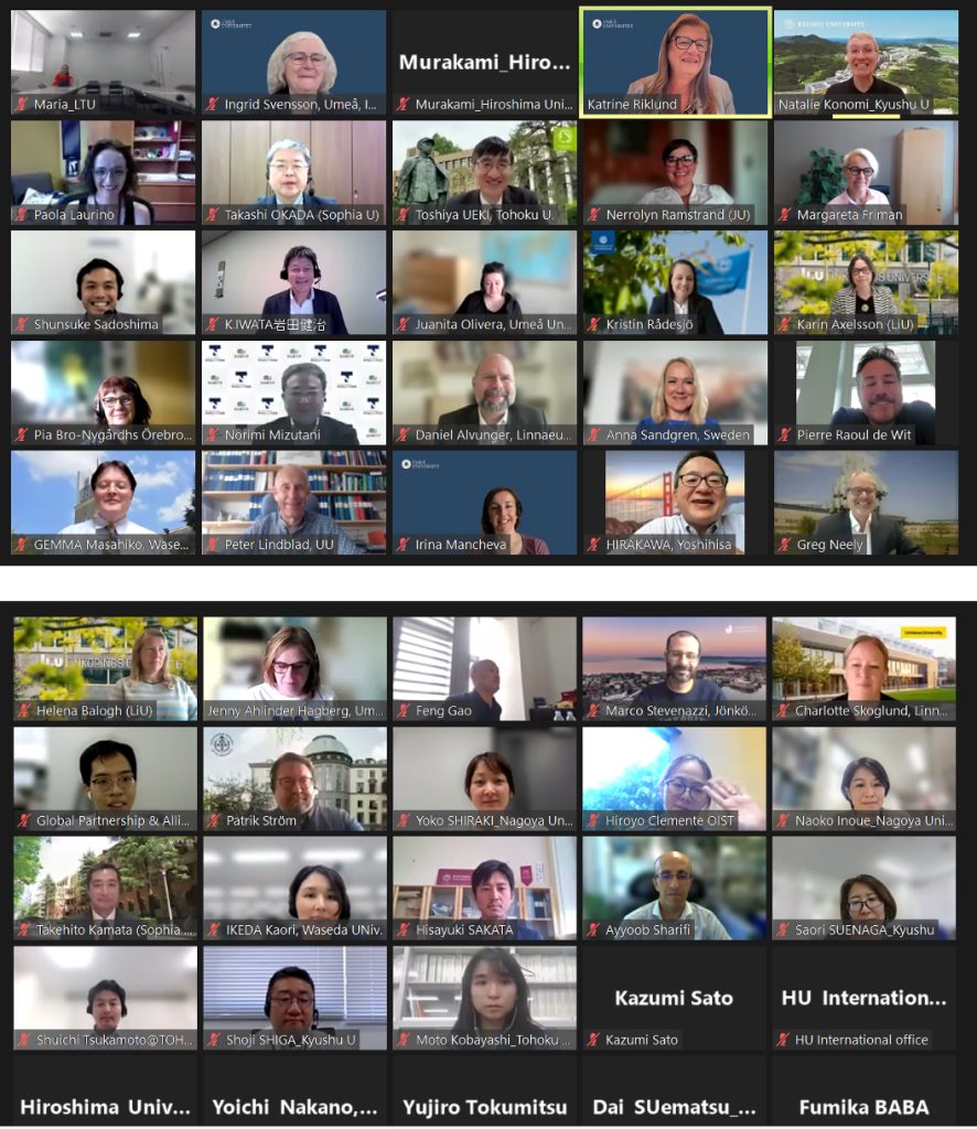 Zoom meeting MIRAI GA June 2024